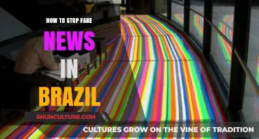 Combating Misinformation: Strategies to Halt Fake News in Brazil
