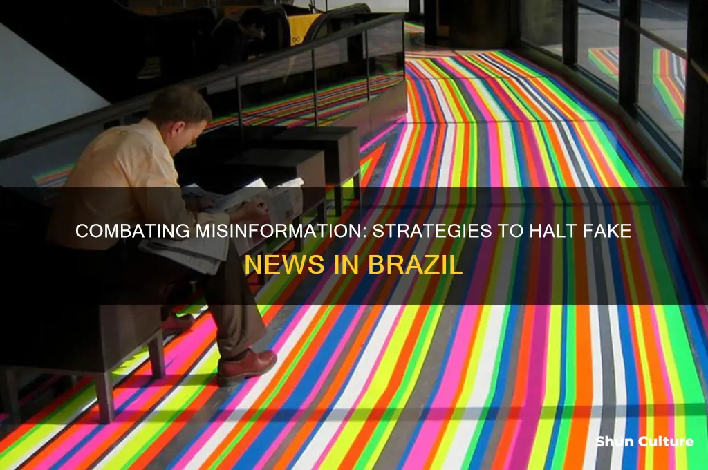 how to stop fake news in brazil