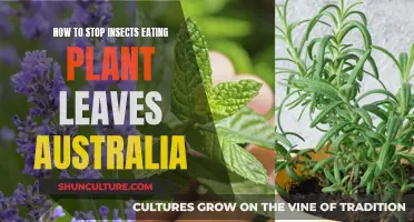Protect Your Plants: Repel Australian Leaf-Eating Insects