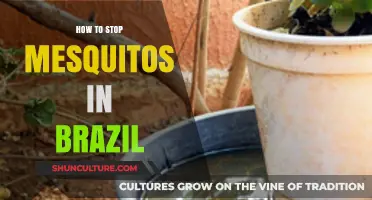 Effective Strategies to Prevent Mosquito Bites in Brazil's Climate