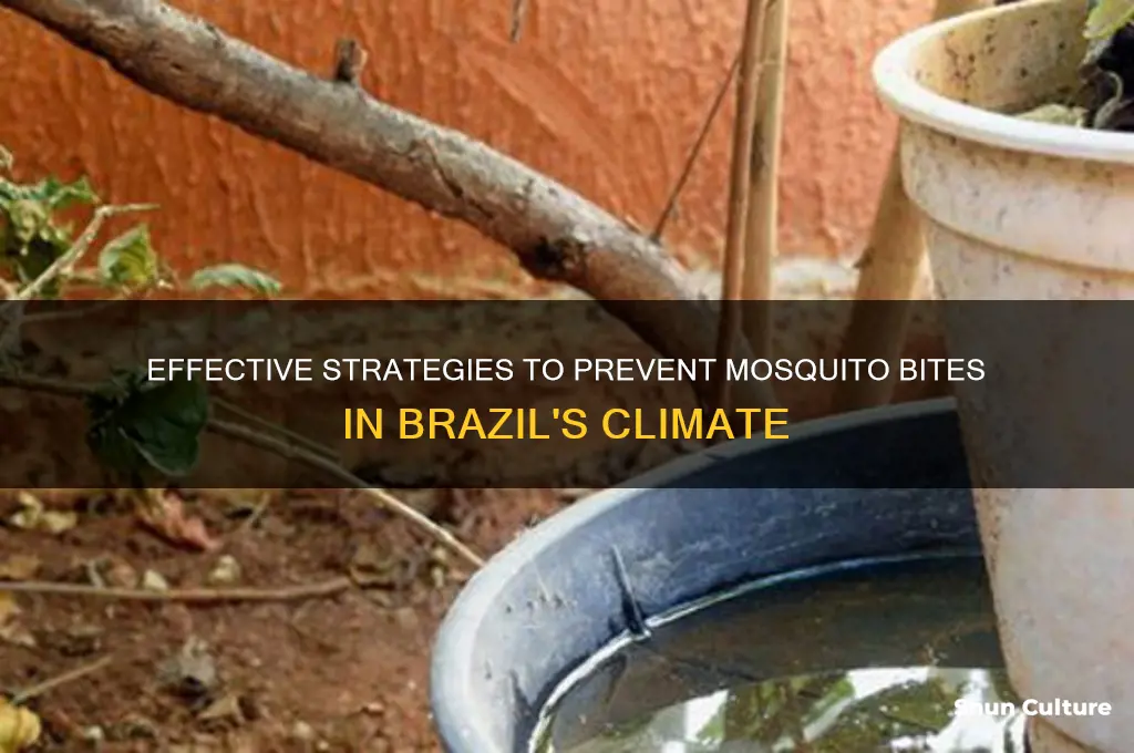 how to stop mesquitos in brazil