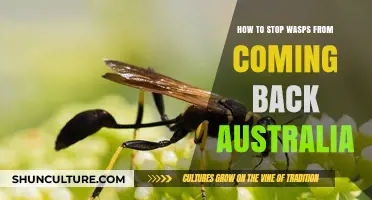 Keep Wasps Away: Tips for Australians