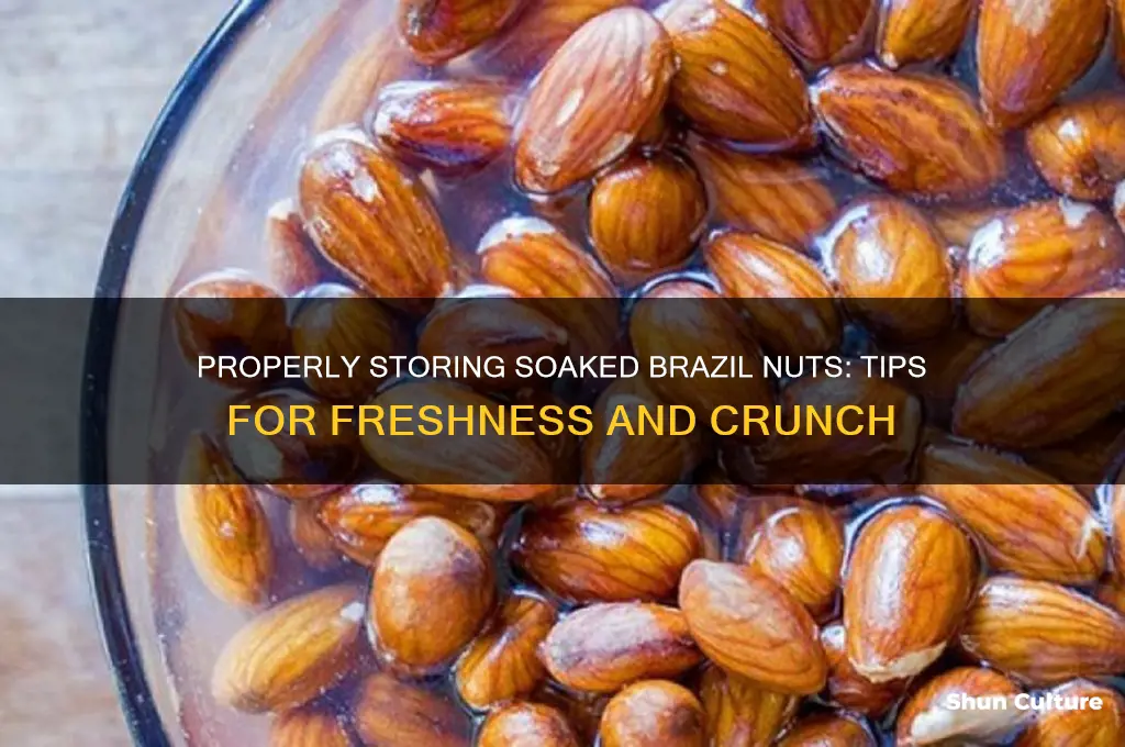 how to store brazil nuts after soaking