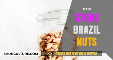 Proper Storage Tips for Keeping Brazil Nuts Fresh and Tasty