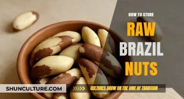 Proper Storage Tips for Keeping Raw Brazil Nuts Fresh and Tasty