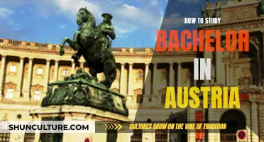 Study in Austria: A Guide to Earning Your Bachelor's Degree