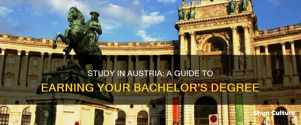 how to study bachelor in austria