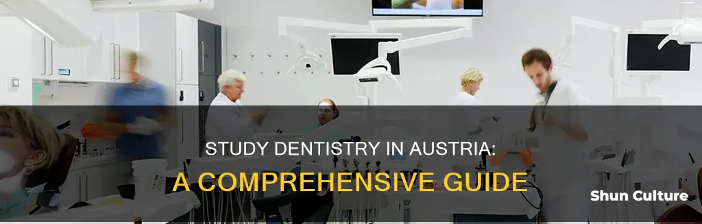 how to study dentistry in austria