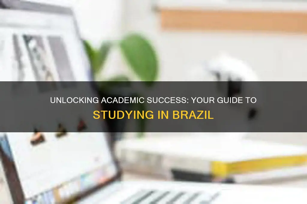 how to study in brazil