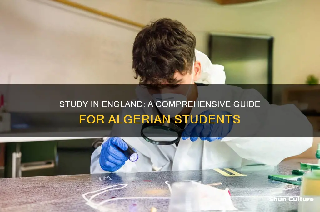 how to study in england from algeria