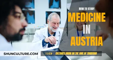 Study Medicine in Austria: A Comprehensive Guide