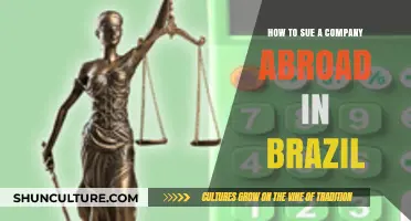 Suing a Foreign Company in Brazil: A Step-by-Step Legal Guide