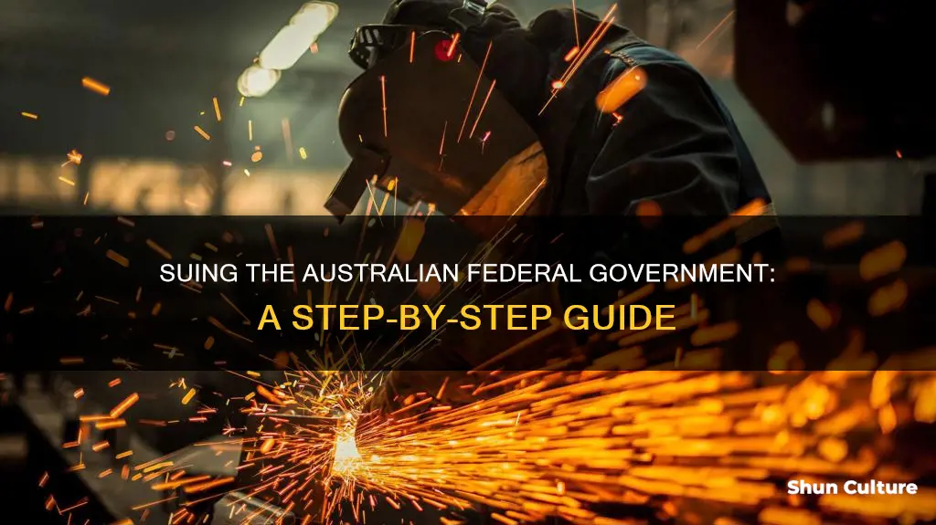 how to sue the federal government australia