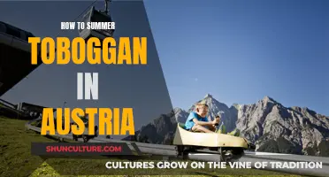 Summer Tobogganing in Austria: Ultimate Adventure Guide