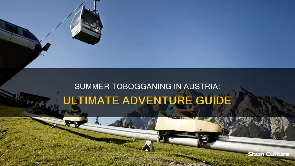 how to summer toboggan in austria