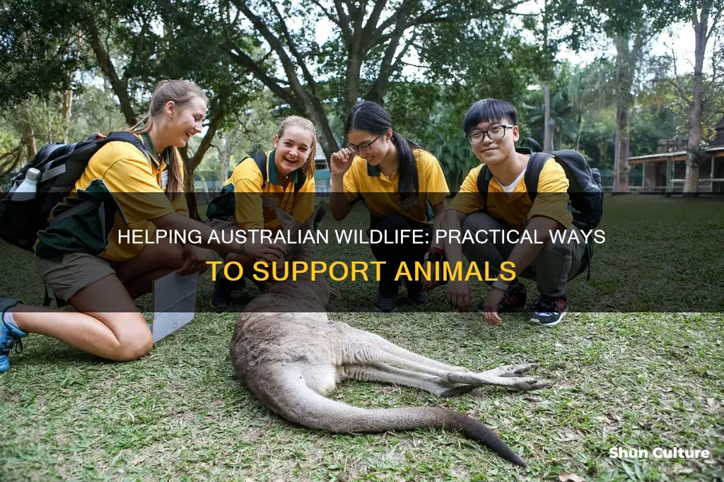 how to support animals in australia