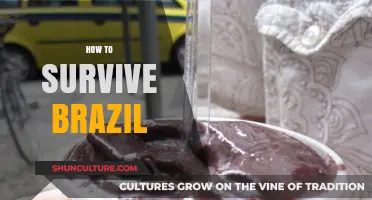 Surviving Brazil: Essential Tips for Safety, Culture, and Adventure