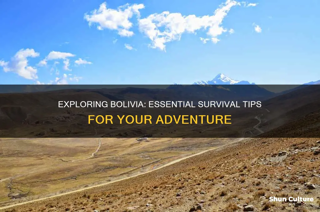 how to survive in bolivia