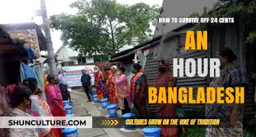 Surviving on 24 Cents an Hour: Bangladesh's Harsh Reality and Resilience