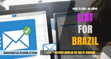 Effective Strategies to Grow Your Email List in Brazil