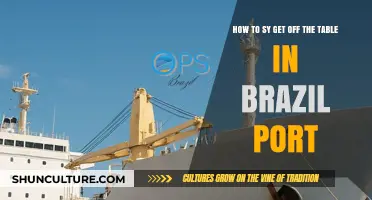 Mastering the Art of Clearing Tables in Brazilian Ports Efficiently