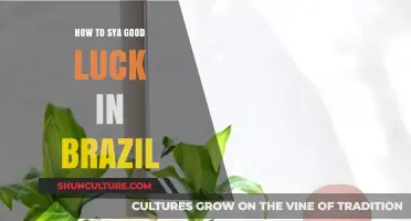 Wishing Good Luck in Brazil: Cultural Insights and Common Phrases