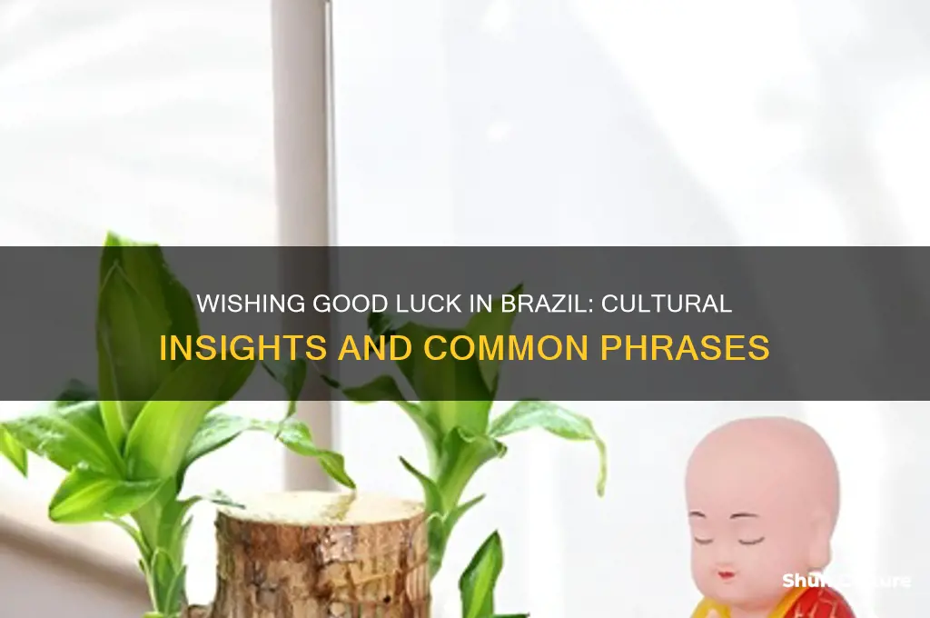 how to sya good luck in brazil