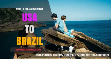 Moving Your Dog from USA to Brazil: A Step-by-Step Guide