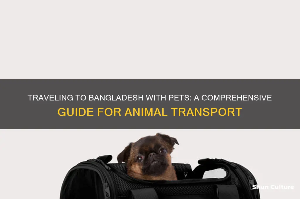 how to take an animal to bangladesh