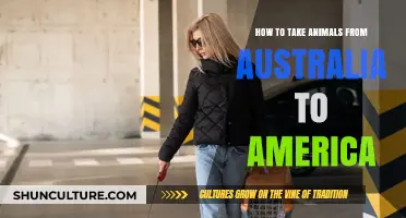 Relocating Pets: Australia to America