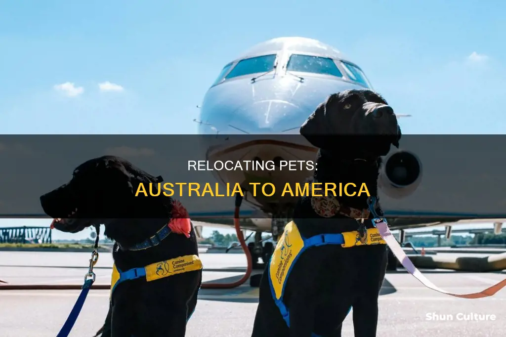 how to take animals from australia to america