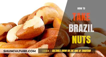 Unlocking Brazil Nut Benefits: Optimal Ways to Incorporate Them Daily