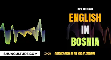 Teaching English in Bosnia: Tips, Challenges, and Cultural Insights