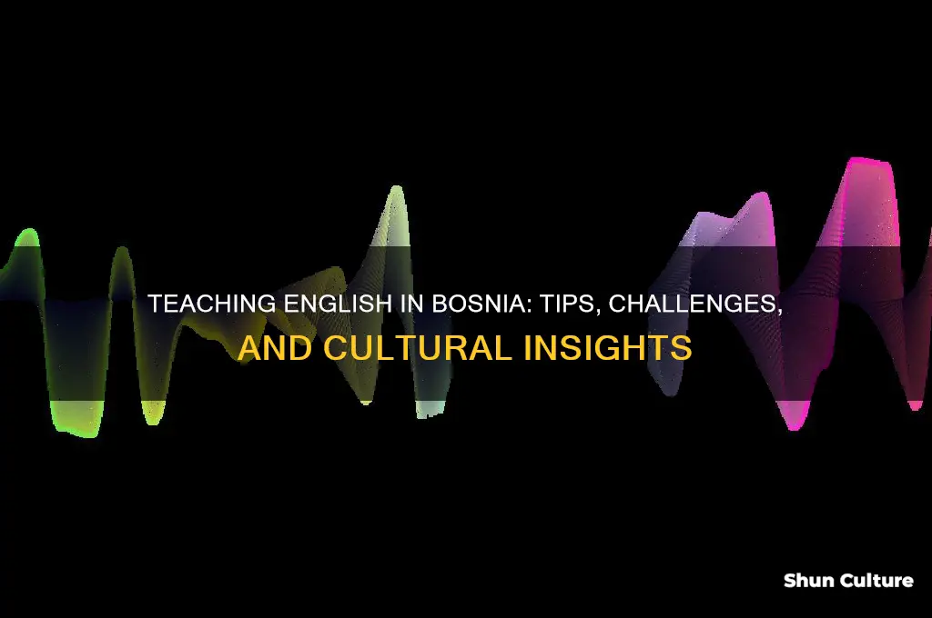 how to teach english in bosnia