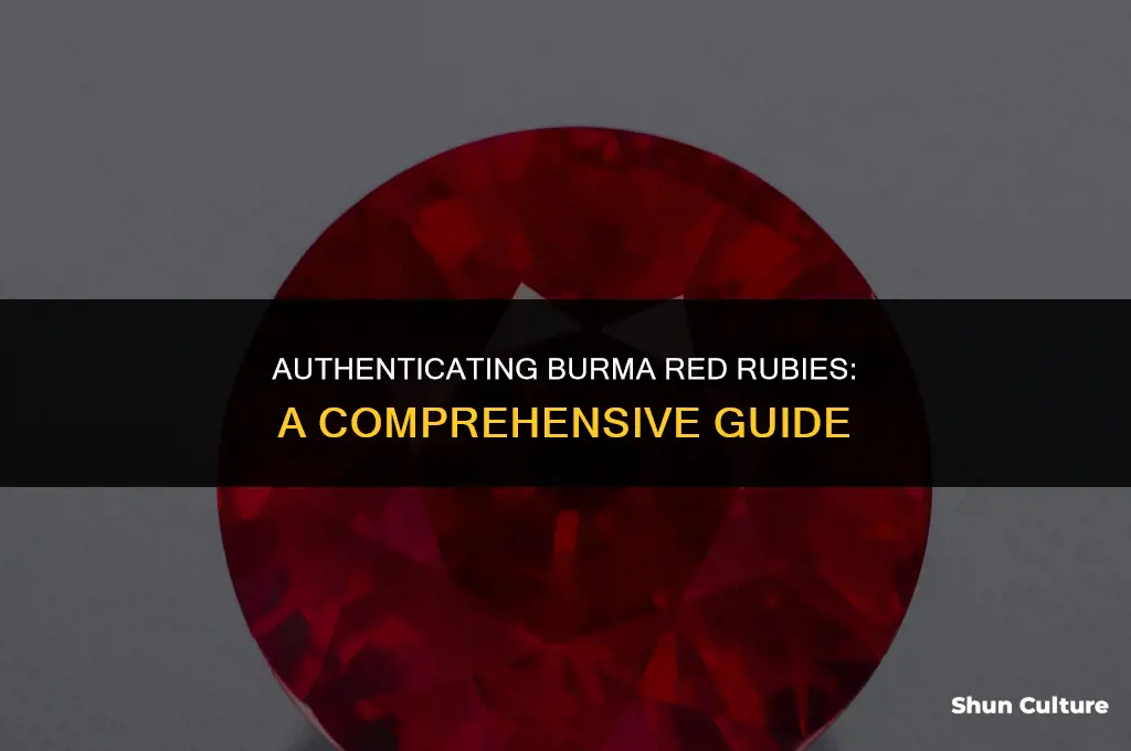 how to tell if a burma red ruby is real