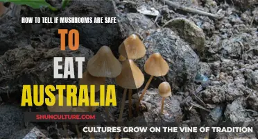 Identifying Edible Mushrooms: An Australian Guide