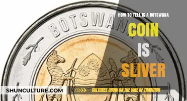 Identifying Silver Botswana Coins: A Comprehensive Guide for Collectors