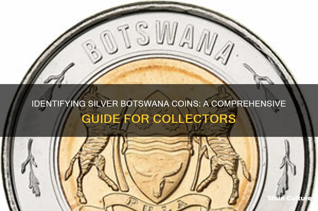 how to tell is a botswana coin is sliver