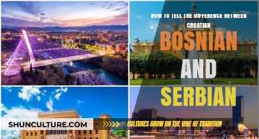 Croatian, Bosnian, Serbian: Decoding the Differences in Language and Culture
