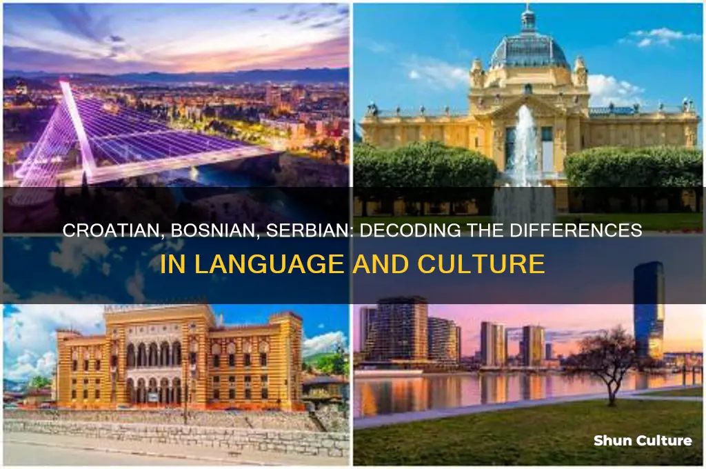 how to tell the difference between croatian bosnian and serbian