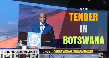 Mastering the Tender Process in Botswana: A Comprehensive Guide