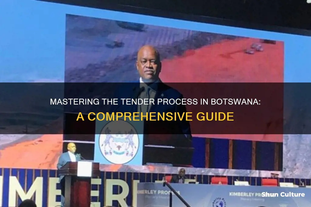 how to tender in botswana