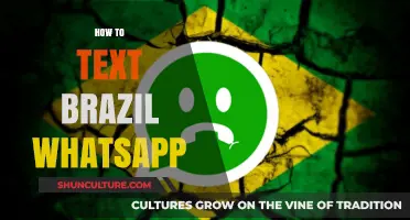Mastering WhatsApp Messaging: A Guide to Texting in Brazil