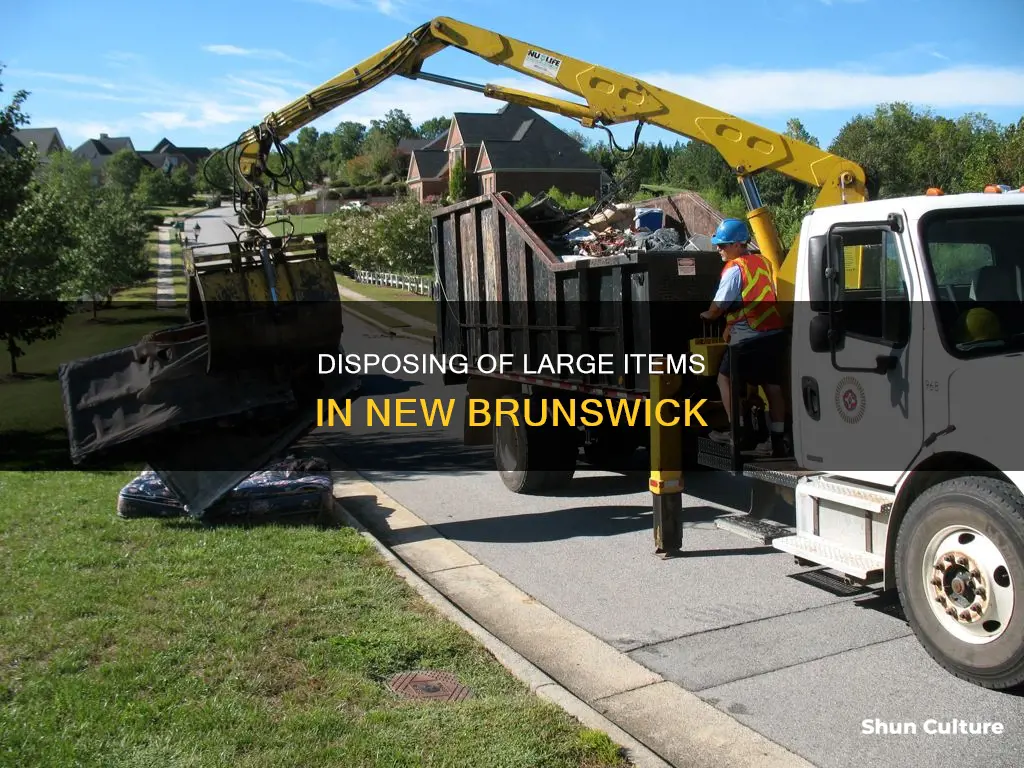 how to throw away large items new brunswick