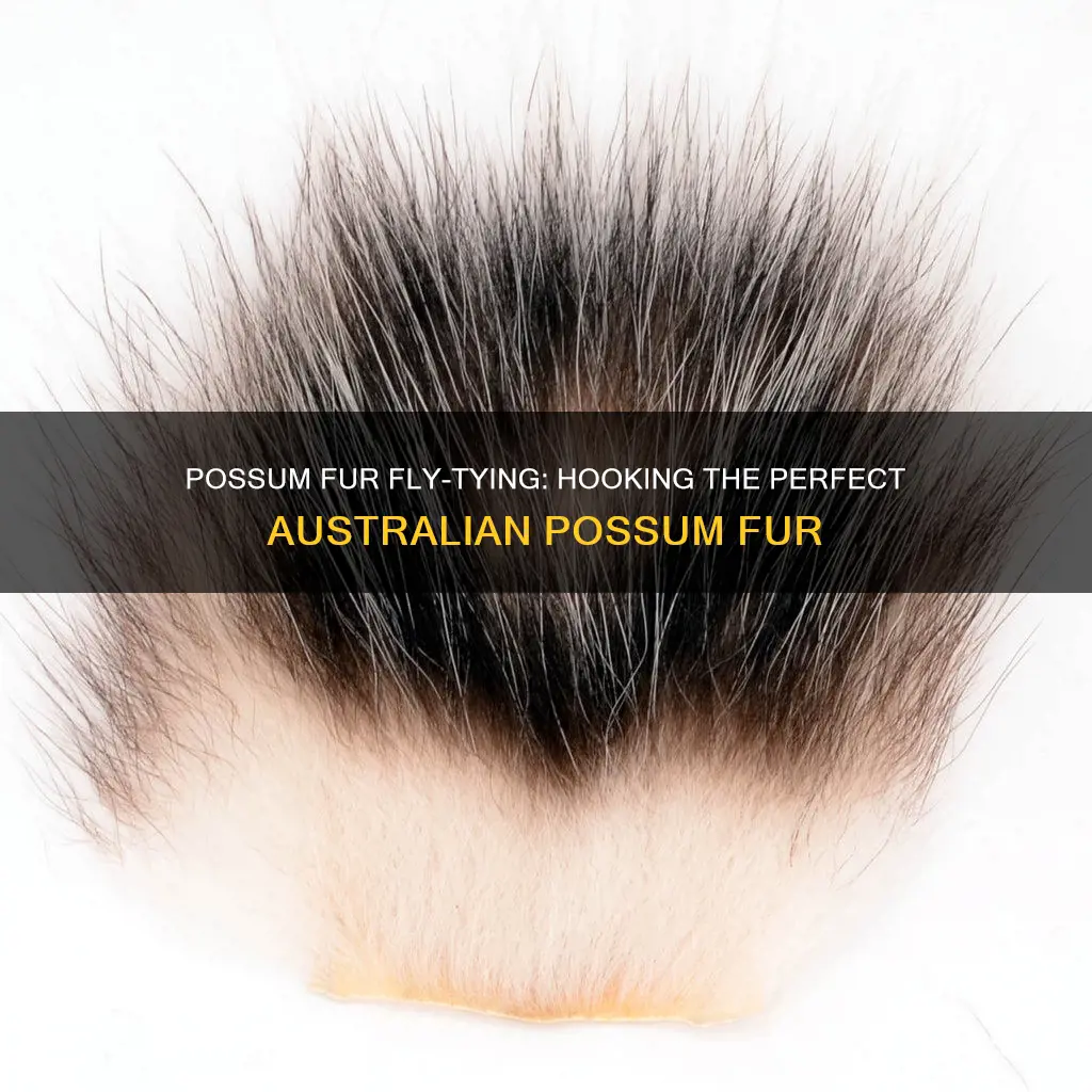 how to tie australian possum fur on a fly hook