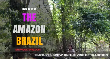 Exploring the Amazon: A Comprehensive Guide to Touring Brazil's Rainforest