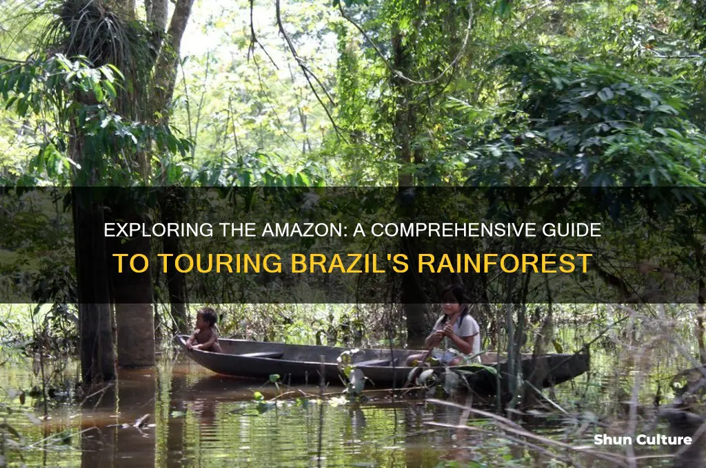 how to tour the amazon brazil