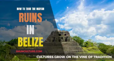 Exploring Belize's Mayan Ruins: A Comprehensive Guide