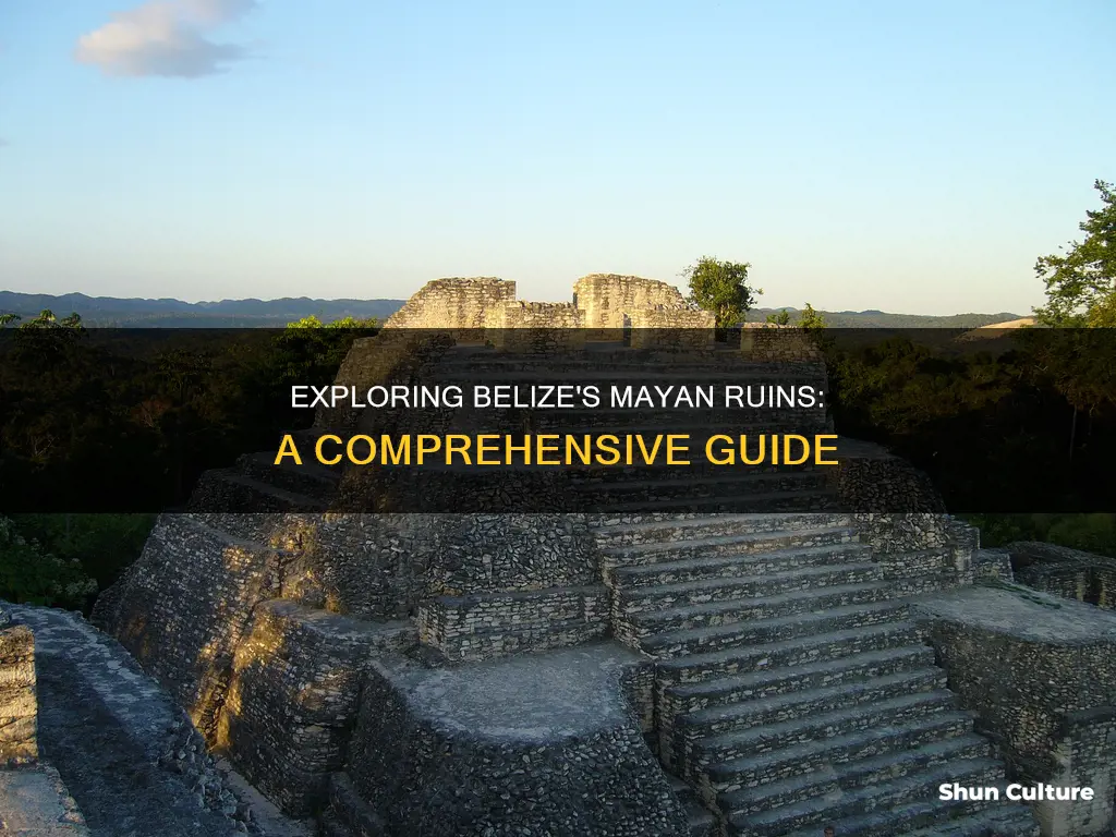 how to tour the mayan ruins in belize