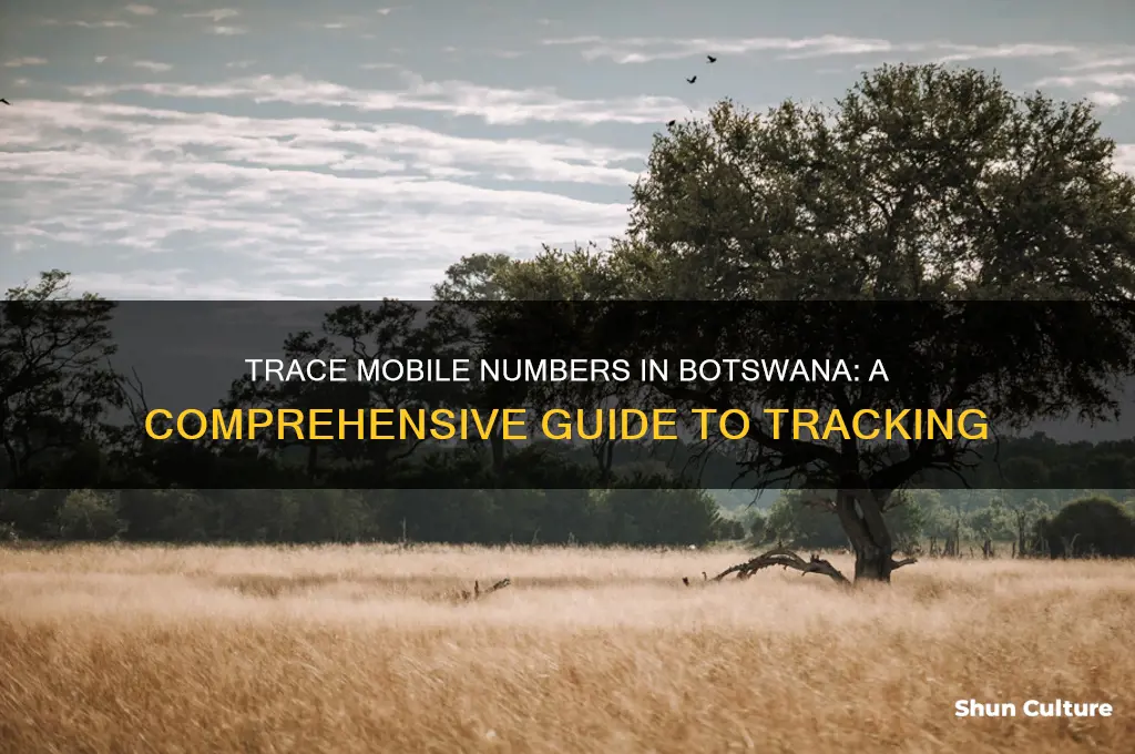 how to trace a mobile number in botswana